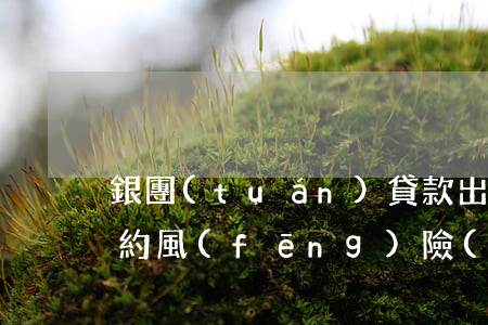 銀團(tuán)貸款出現(xiàn)違約風(fēng)險(xiǎn)時(shí)（銀團(tuán)貸款逾期起訴）