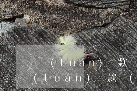 銀團(tuán)貸款協(xié)議(銀團(tuán)貸款協(xié)議示范文本)