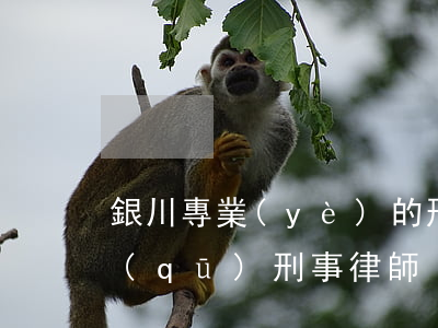 銀川專業(yè)的刑事案件律師(銀川地區(qū)刑事律師)