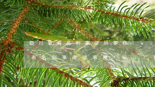 銀川最有名刑事律師事務(wù)所(銀川最有名刑事律師事務(wù)所)