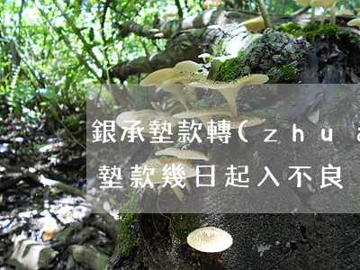 銀承墊款轉(zhuǎn)為逾期貸款(銀承墊款幾日起入不良)