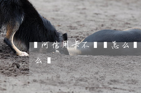 銀河信用卡不還會怎么樣(信用卡還不了會怎么樣)