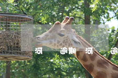 銀河閃貸逾期(銀河閃貸逾期會怎么樣)