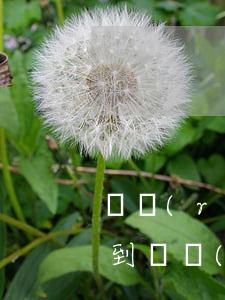 銀潤(rùn)律師事務(wù)所催款(收到銀潤(rùn)律師事務(wù)所的短信)