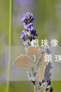 銀珠像婆婆提離婚(看了又看婆婆對(duì)銀珠好)
