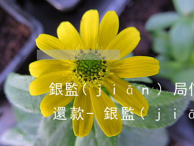銀監(jiān)局信用卡協(xié)商還款-銀監(jiān)局信用卡協(xié)商還款流程