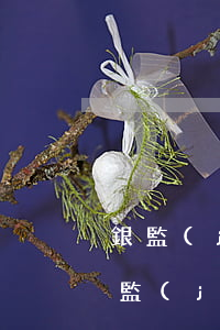 銀監(jiān)局取消信用卡逾期違約(銀監(jiān)局取消信用卡逾期違約案例)