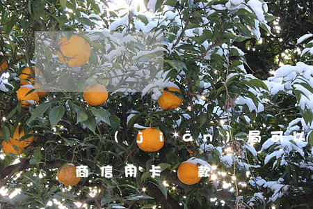 銀監(jiān)局可以幫忙協(xié)商信用卡還款嗎-銀監(jiān)局可以幫忙協(xié)商信用卡還款嗎?