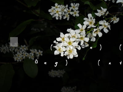 銀監(jiān)會(huì)介入網(wǎng)貸協(xié)商還款有用嗎(銀監(jiān)會(huì)管網(wǎng)貸投訴嗎)