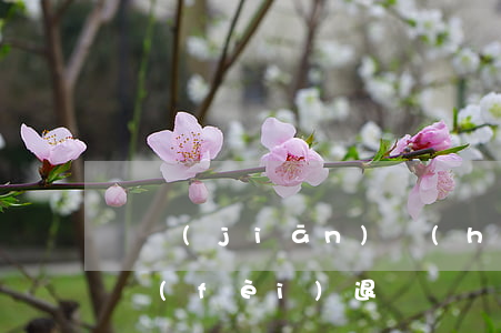 銀監(jiān)會(huì)信用卡逾期費(fèi)退還 銀監(jiān)會(huì)關(guān)于信用卡逾期