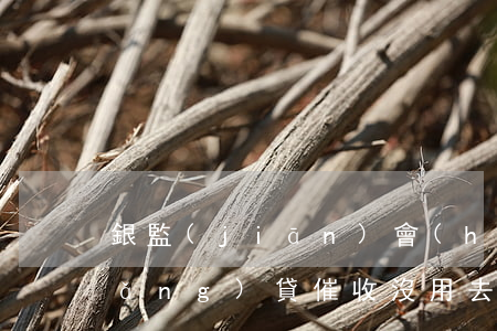 銀監(jiān)會(huì)投訴網(wǎng)貸催收沒用(去銀監(jiān)會(huì)投訴銀行信用卡催收有沒有用)