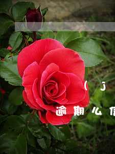 銀監(jiān)會(huì)處理信用卡逾期么（信用卡逾期向銀監(jiān)局申訴如何申訴）