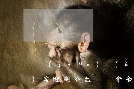 銀監(jiān)會(huì)規(guī)定逾期不允許遲拿金文件-銀監(jiān)會(huì)有哪些催款不允許行為