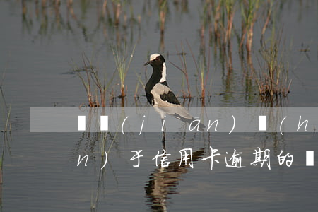 銀監(jiān)會(huì)關(guān)于信用卡逾期的規(guī)定最新 銀監(jiān)會(huì)規(guī)定信用卡寬限期