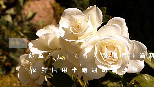 銀監(jiān)會信用卡逾期新政策-國家對信用卡逾期的新政策