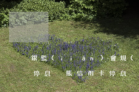 銀監(jiān)會規(guī)定信用卡停息掛賬（信用卡停息掛賬銀行會問的問題）