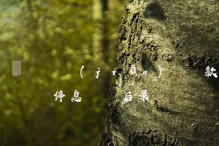 銀監(jiān)會貸款停息掛賬政策(貸款停息掛賬后果)