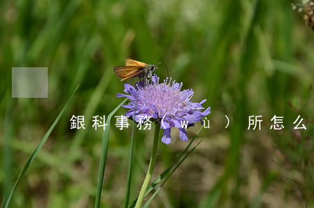 銀科事務(wù)所怎么樣(銀科控股怎么樣)