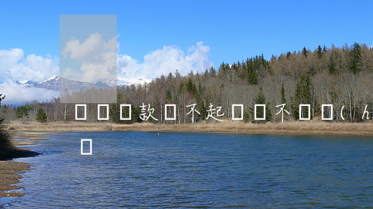 銀稅貸款還不起(稅貸不還會(huì)怎么樣)