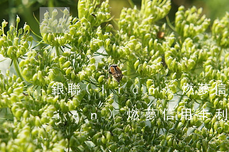 銀聯(lián)燃夢信用卡利息(銀聯(lián)燃夢信用卡利息多少)