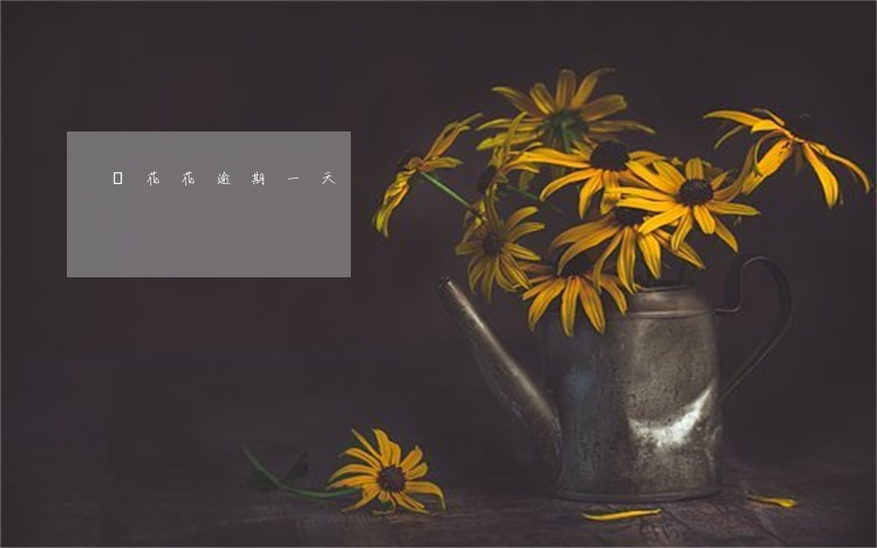 銀花花逾期一天