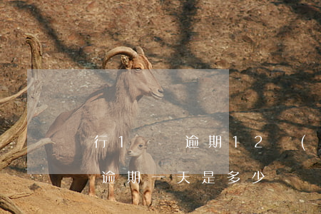 銀行1塊錢逾期12個(gè)月(銀行一萬塊逾期一天是多少)