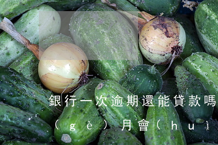 銀行一次逾期還能貸款嗎(銀行貸款逾期一個(gè)月會(huì)怎樣)