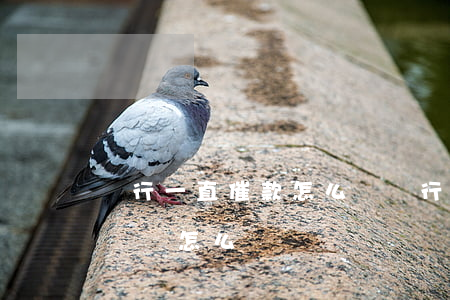 銀行一直催款怎么辦(銀行一直催收但是沒有錢還怎么辦)