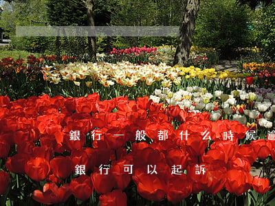 銀行一般都什么時候逾期可以起訴(逾期多久銀行可以起訴)