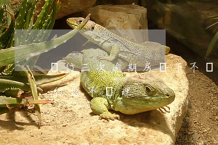 銀行三次逾期房貸下不來(房貸逾期三年了銀行也不處理)