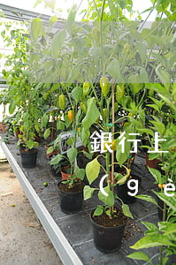 銀行上門催收了怎么辦(銀行有上門催收這個(gè)說(shuō)法嗎)