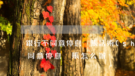 銀行不同意停息掛賬話術(shù)(銀行不同意停息掛賬怎么辦)