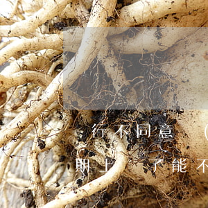 銀行不同意協(xié)商還款說要上門（逾期上門了能不能跟銀行協(xié)商還款）