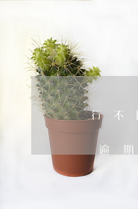 銀行不同意逾期還款(正常還款但是銀行給登記逾期了)