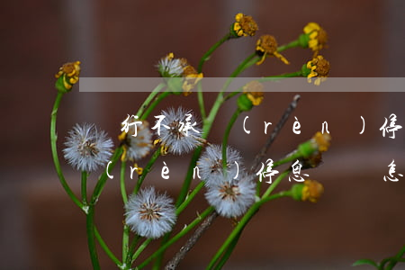 銀行不承認(rèn)停息掛賬(銀行不承認(rèn)停息掛賬怎么辦)