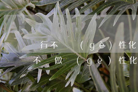 銀行不給個(gè)性化分期還怎么辦(銀行不給做個(gè)性化分期怎么投訴)