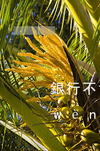 銀行不肯協(xié)商還款如何解決問(wèn)題-銀行不肯協(xié)商還款如何解決問(wèn)題呢