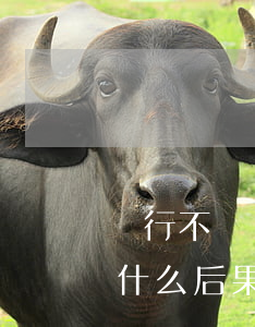 銀行不讓還款導致逾期(銀行貸款逾期不還有什么后果)