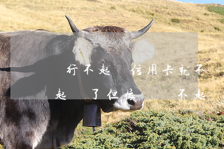 銀行不起訴信用卡就不還了(欠信用卡被民事起訴了 但依舊還不起)