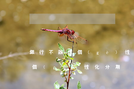 銀行不辦理個(gè)性化分期 銀行不辦理個(gè)性化分期