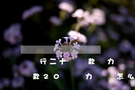 銀行二十萬貸款無力償還會坐牢嗎-銀行貸款20萬無力償還怎么辦