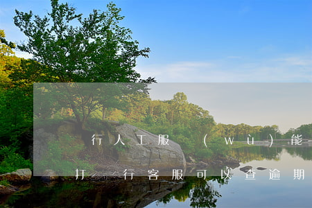 銀行人工服務(wù)能查出逾期多少嗎-打銀行客服可以查逾期嗎