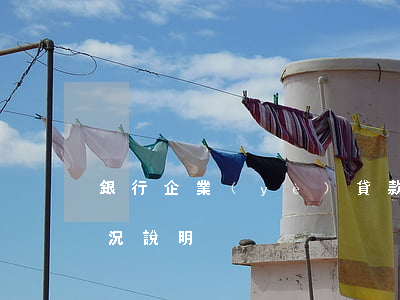 銀行企業(yè)貸款逾期說明(逾期貸款情況說明)