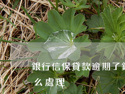 銀行信保貸款逾期了 銀行信保貸款逾期了怎么處理
