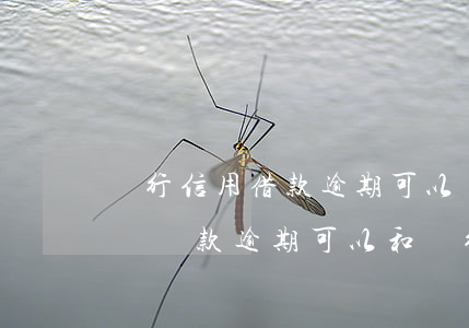 銀行信用借款逾期可以協(xié)商還款嗎(貸款逾期可以和銀行協(xié)商還款嗎)