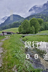 銀行信用卡6000逾期-銀行信用卡6000逾期一天
