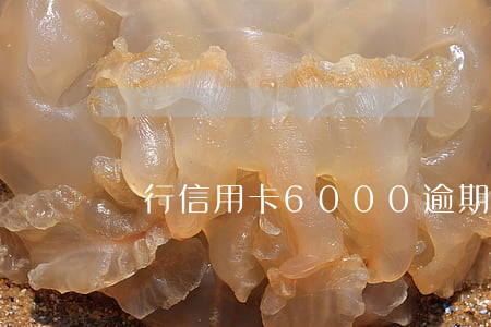 銀行信用卡6000逾期六個月