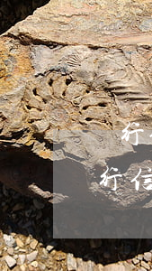 銀行信用卡不還款凍結(jié)賬戶(欠人行信用卡不還能凍結(jié)賬戶嗎)