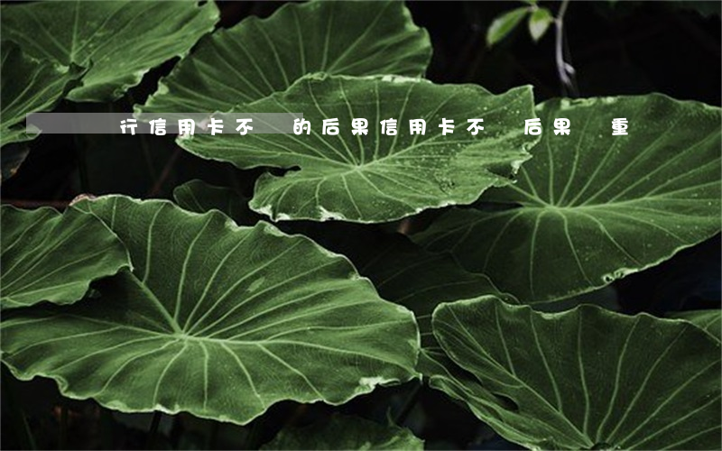 銀行信用卡不還的后果(信用卡不還后果嚴重嗎)