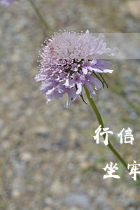 銀行信用卡不還錢會坐牢(信用卡不還錢會不會坐牢)
